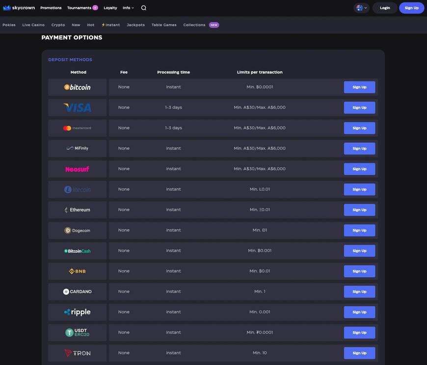 SkyCrown Casino Payments